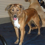 DSCN3568.jpg