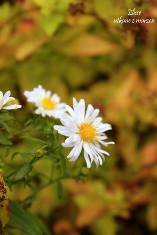 [IMG_561214.jpg]
