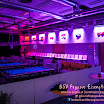2013-10-22_19-32-48.jpg