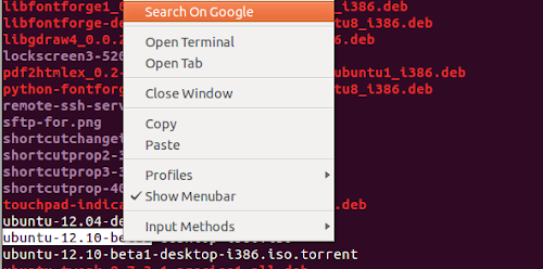 Terminale di Ubuntu con  "Search in Google" dal menu contestuale