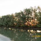 IMG_5718.JPG