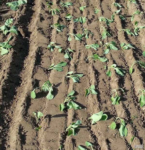 [20130515_173550%255B15%255D.jpg]