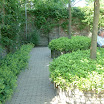 DSCF0142.JPG