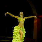 Document Name_3_223.JPG