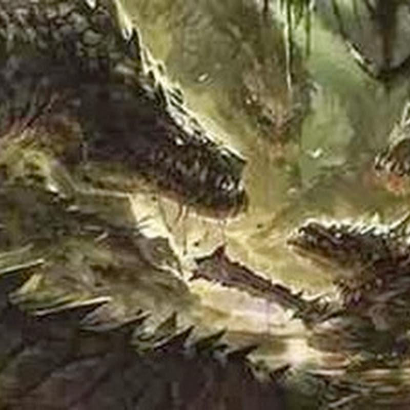 Os decaídos e a linhagem Reptiliana segundo os Espíritos