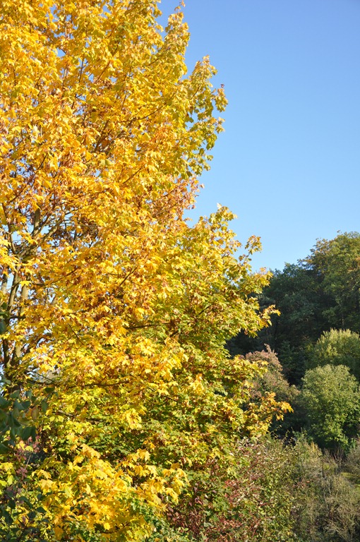 [DSC_1822%255B12%255D.jpg]