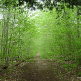 Backpacking ADK 2009