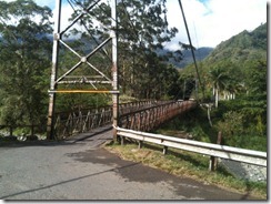 IMG_0524 IMG_0524