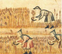 Slaves