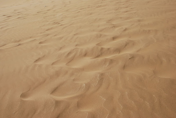 Dunes - traces