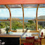 511 Root - DSC02903.JPG