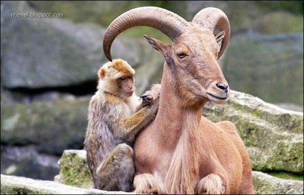 Some Scenes Cant Be Seen Everyday