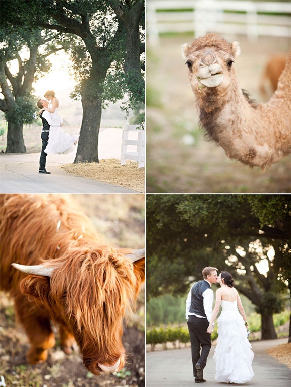[saddlerock-ranch-wedding-photo-46%255B3%255D.jpg]