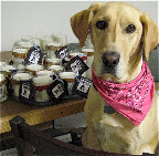 Kathy explains that this was newly adopted Nelli's way of honoring Maggie- the dog who, in Kathy's words, 