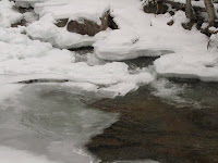 IMG_0512.JPG Photo