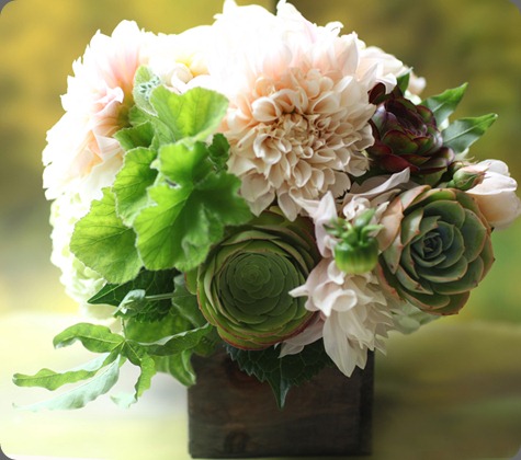 6a0120a5914b9b970c01543472270c970c florali 6a0120a5914b9b970c01543472270c970c florali