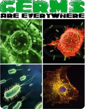 germs everywhere
