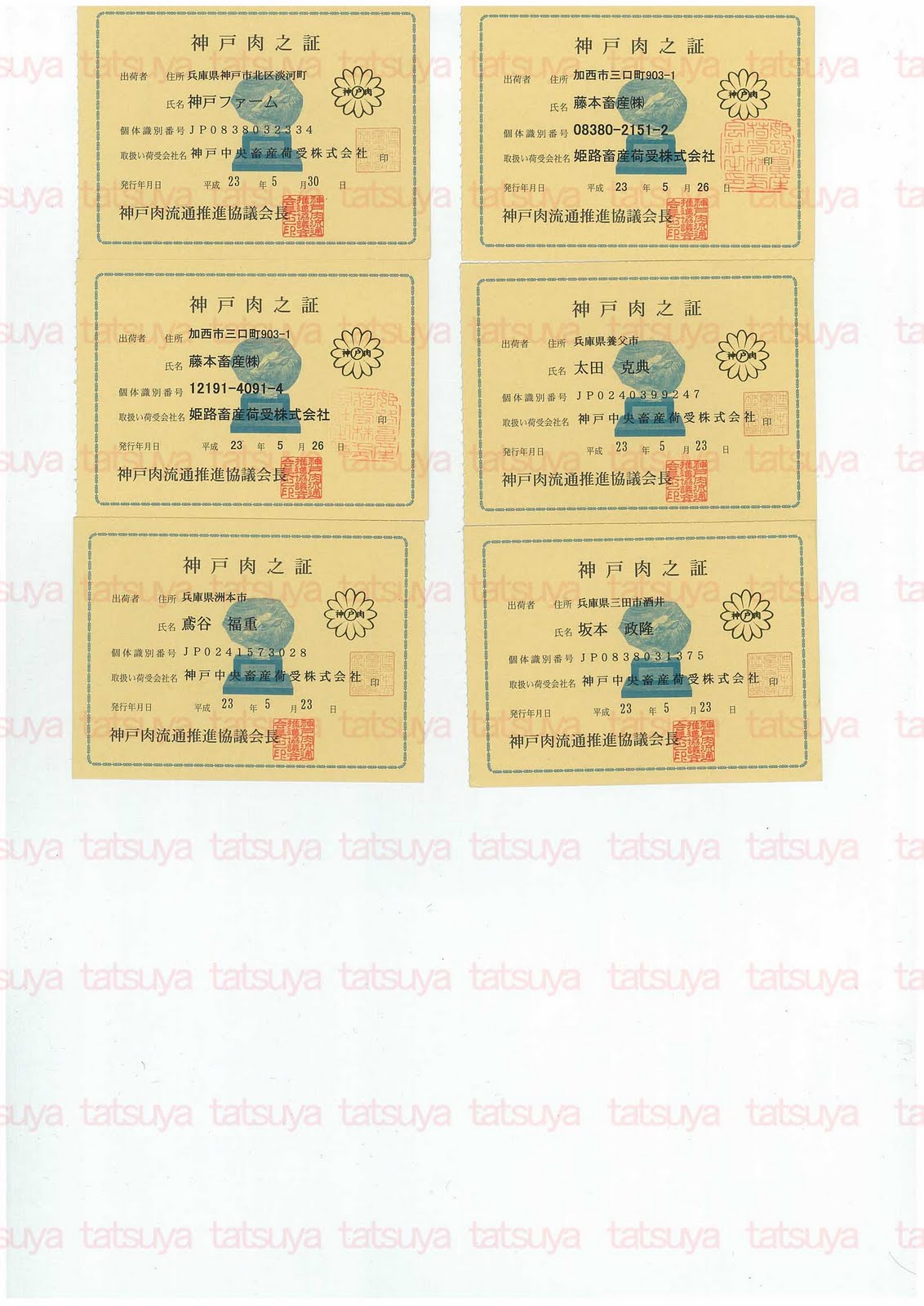 [LOT-11061601-%25232.jpg]