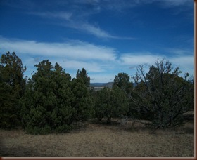 102_7995 102_7995