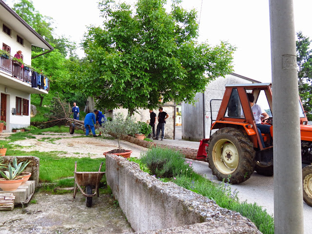 2014-Mlaj-in-kresovanje-21.JPG