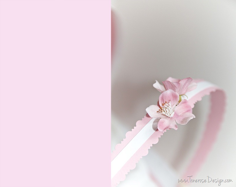 [IMG_4193%25202%255B10%255D.jpg]