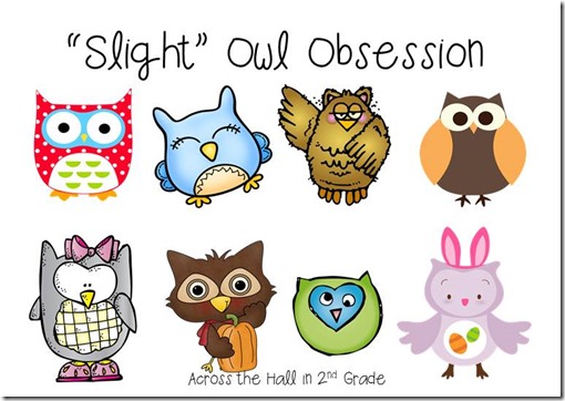owl obsession