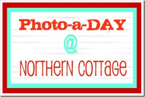 photo a day