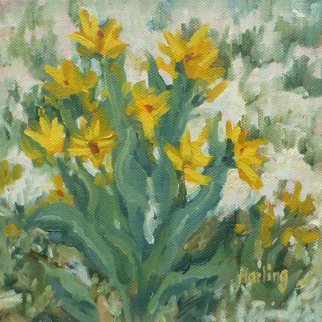 [Martis%2520Peak%2520Mule%2520Ears%2520Crystal%2520Harling%255B3%255D.jpg]