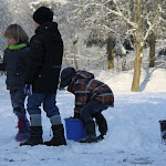 Bevers_in_de_sneeuw_2012_003.jpg