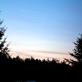 IMSB 2011 (2)