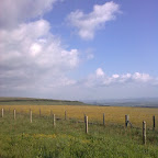 Image0533.jpg