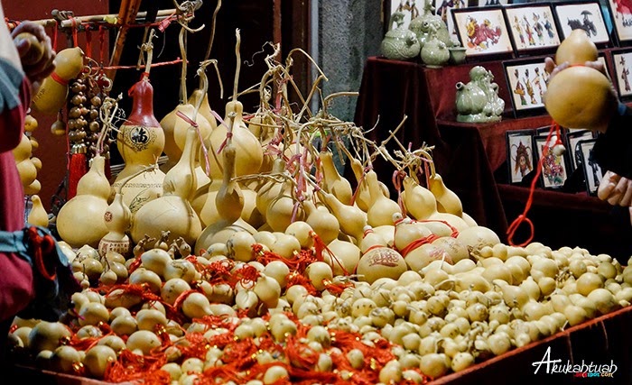 DSC03263 DSC03263