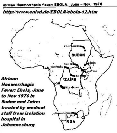 Ebola infection essay picture