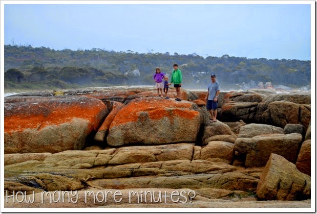 How Many More Minutes? ~ Bay of Fires, Tasmania