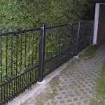 P1030798.JPG