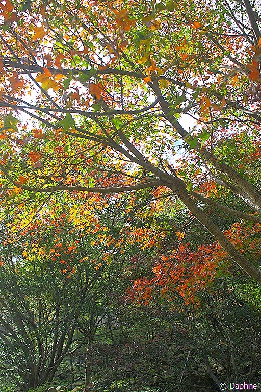 [IMG_4118%255B6%255D.jpg]