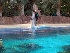A dolphin and his trainer at the MGM Mirage.