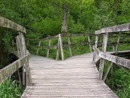 [DARAJA2%255B3%255D.jpg]