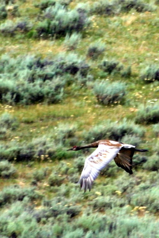 [IMG_2066B2%255B4%255D.jpg]