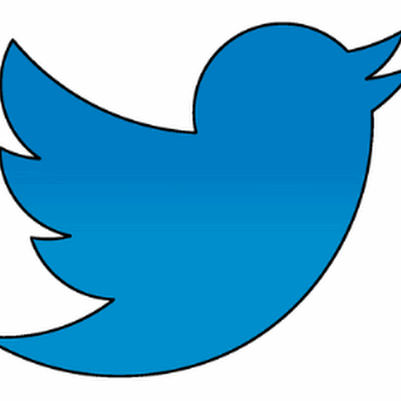 The Right Bird Food: How to Attract More Twitter Followers