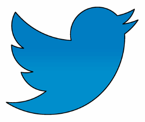 twitter, social media, Attract More Twitter Followers, increase twitter followers, Tech Holics, 