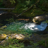 IMG_8815.jpg