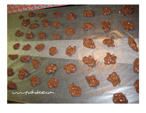chocolate peanut clusters-003