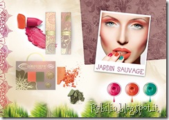 brochure brochure