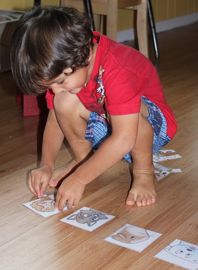 IMG_9740 IMG_9740