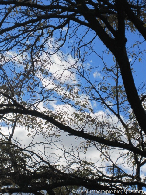 [IMG_41154.jpg]