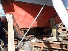 SAM_6988 (640x480) SAM_6988 (640x480)