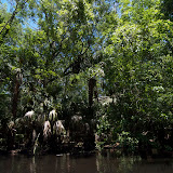 DSCF3930.jpg