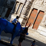 Arles, Cattedrale e mucca mascotte del Festival fotografico.