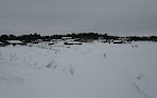 IMG_2302